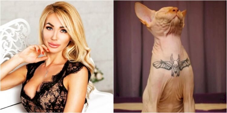 Kedisine Dövme Yaptıran Instagram Modeli Elena Ivanickaya